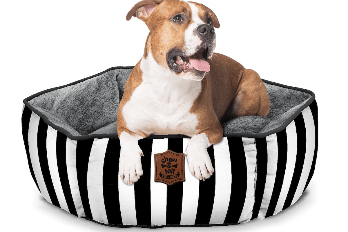 Amazon Is Selling a $40 Dog Bed That Gives Total 'Kate Spade